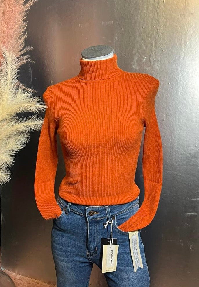 Orange and Mocca Turtle Neck